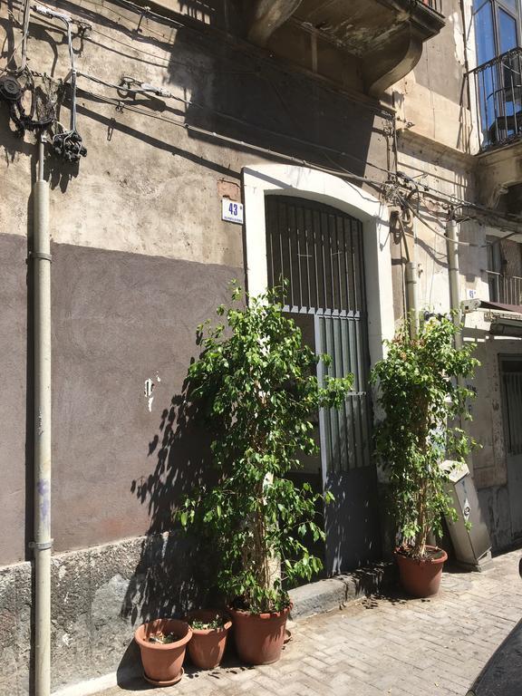 Casa Vacanza Civita Catania Centro Apartment Exterior photo